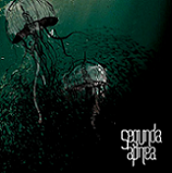 segunda-apnea