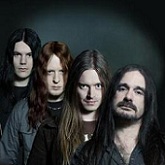 carcass