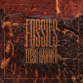 Fossils-Flesh-Hammer