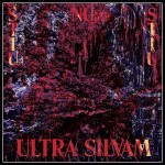 Stiu Nu Stiu - Ultra Silvam